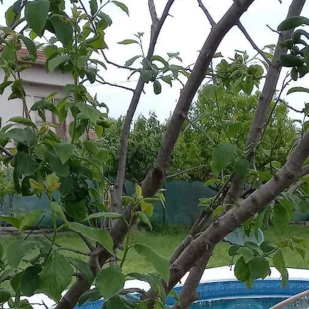 Дом отдыха приятели *